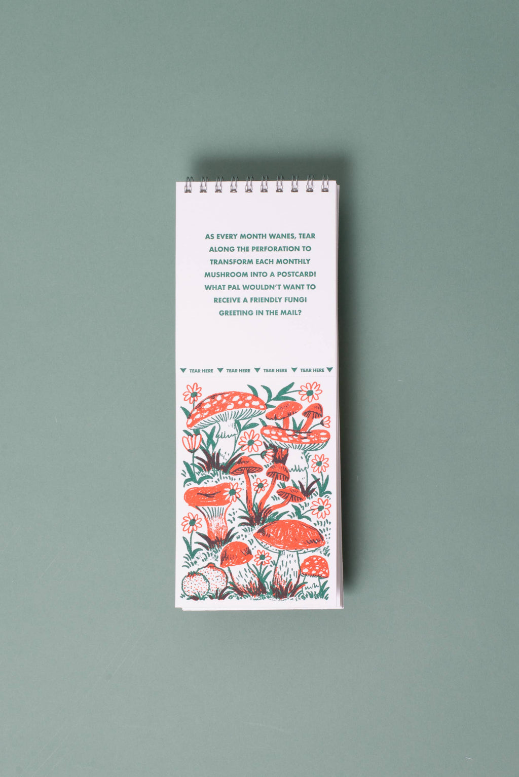 2027 Gnomes & Mushrooms Postcard Wall Calendar Phoebe Wahl