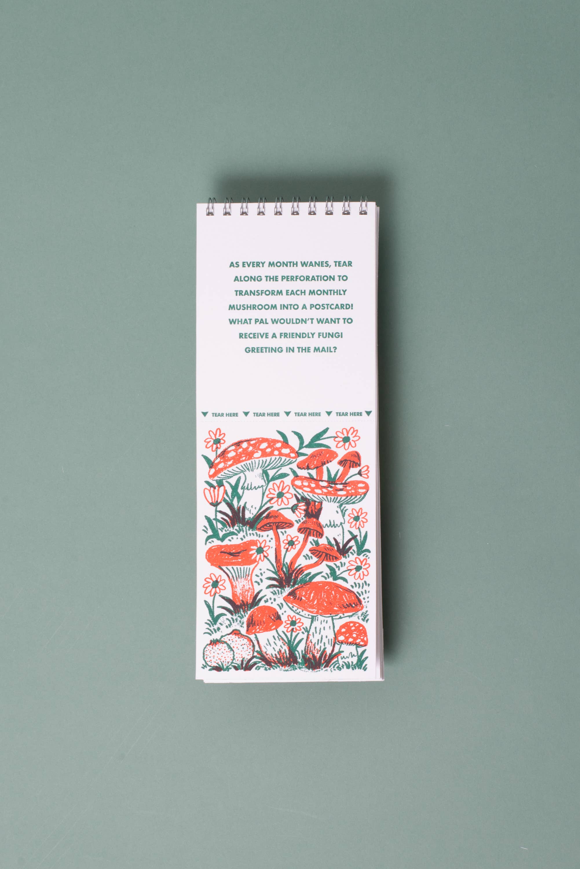 2027 Gnomes & Mushrooms Postcard Wall Calendar Phoebe Wahl
