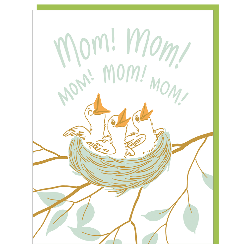 Baby Birds