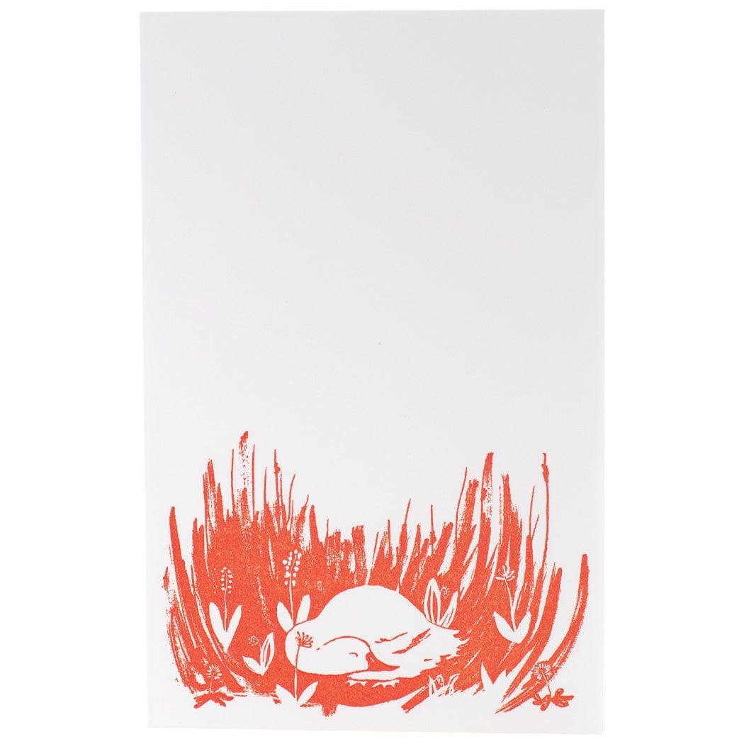 Birds Notepad Bundle (e.b. goodale)