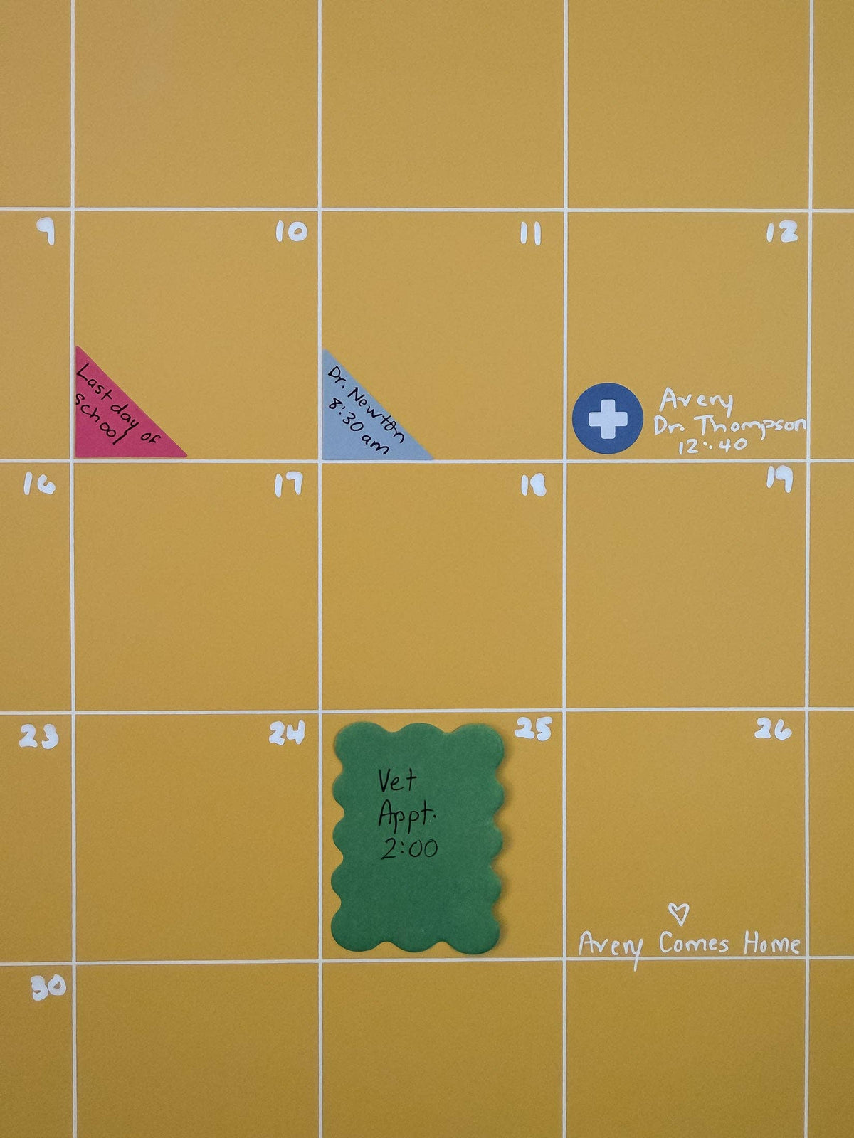 Colorful Calendar & Planner Sticker Book