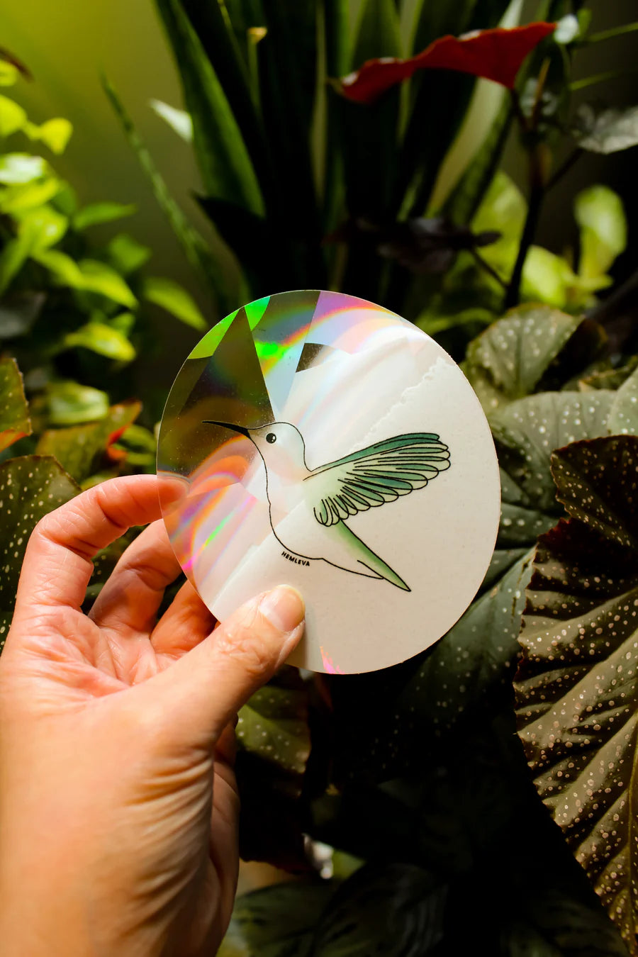 Hummingbird - Suncatcher