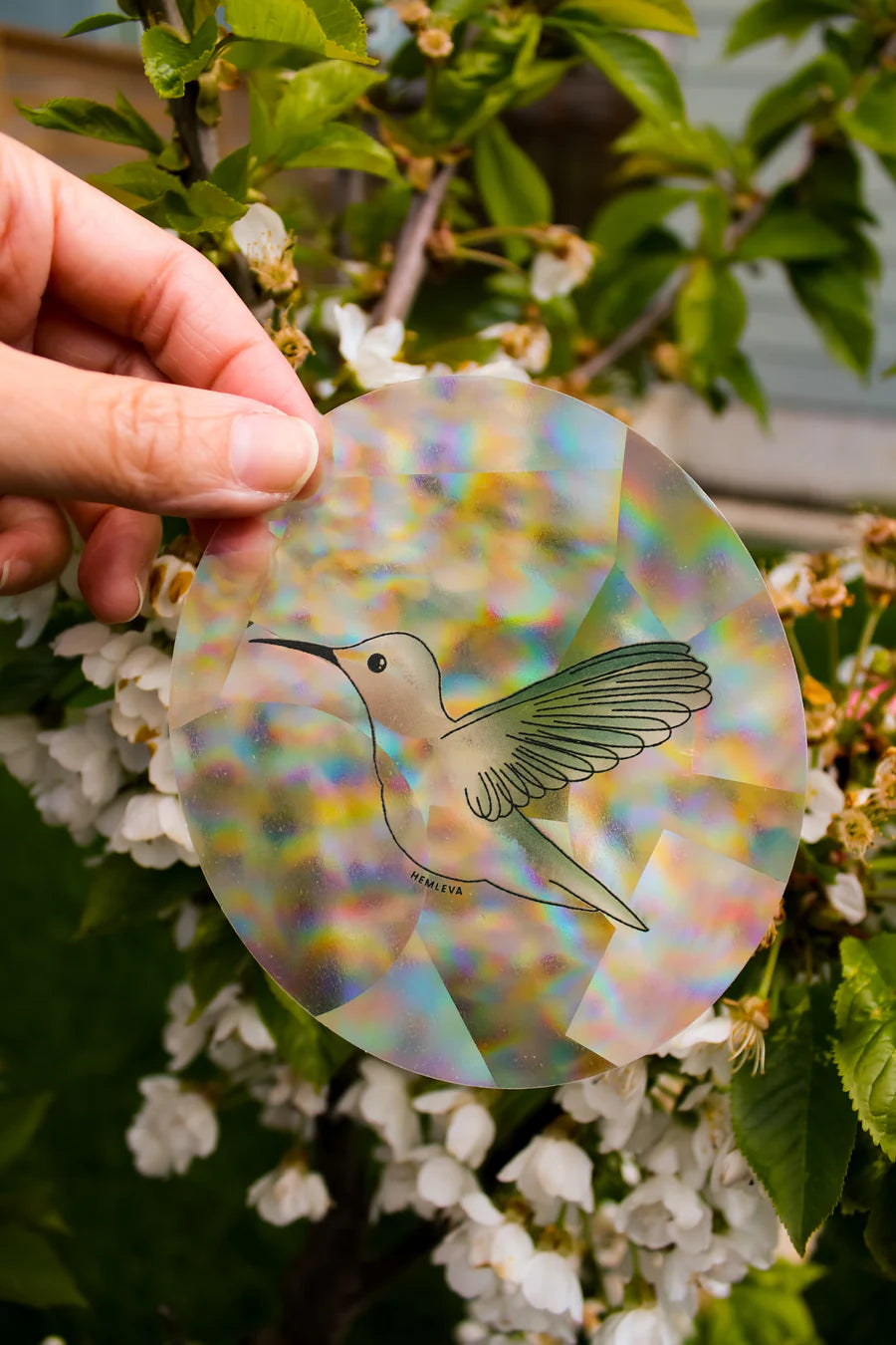 Hummingbird - Suncatcher