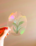 Lily of the Valley - Suncatcher