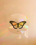 Butterfly - Suncatcher