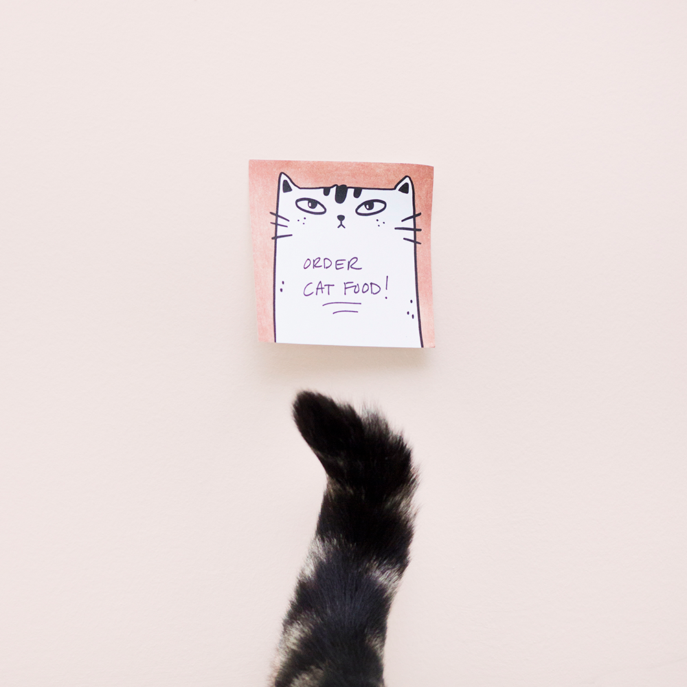 Sticky note | Meow Portrait