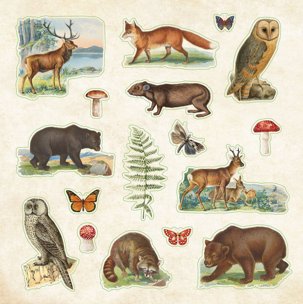 Zoological Ephemera Sticker Book